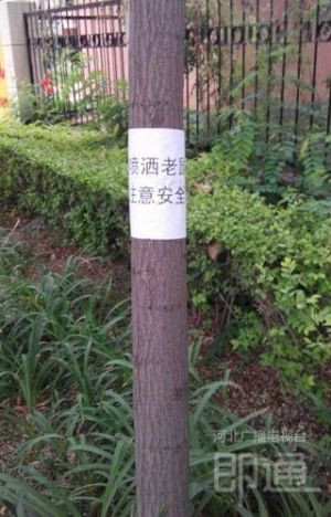 請留意投放標志，遛狗的市民也要注意。