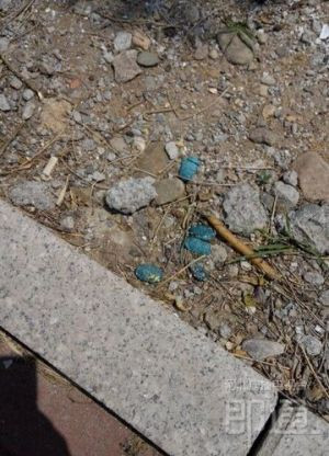 鼠藥顏色鮮艷，容易被兒童誤以為是糖塊撿起來食用，家長要注意。