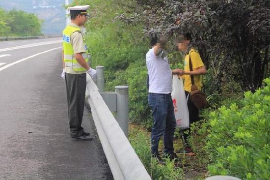 兩人高速路邊摘李子被抓現(xiàn)行