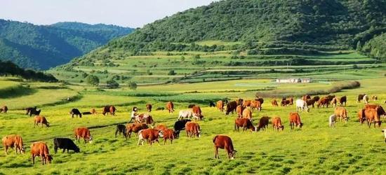 支持農(nóng)業(yè)資源生態(tài)保護和面源污染防治